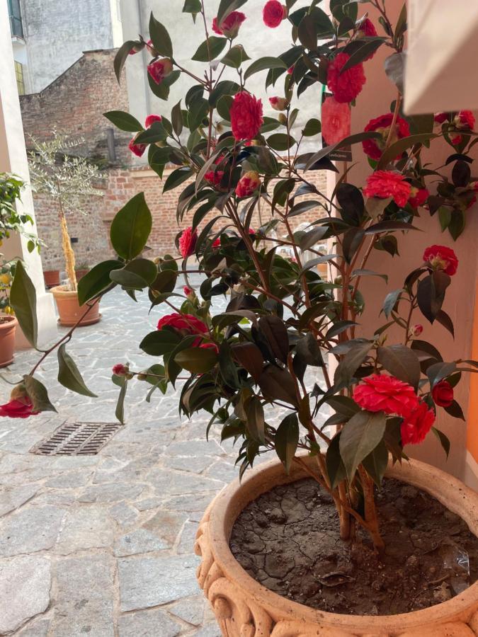 Residenza Nikol Lejlighed Casale Monferrato Eksteriør billede